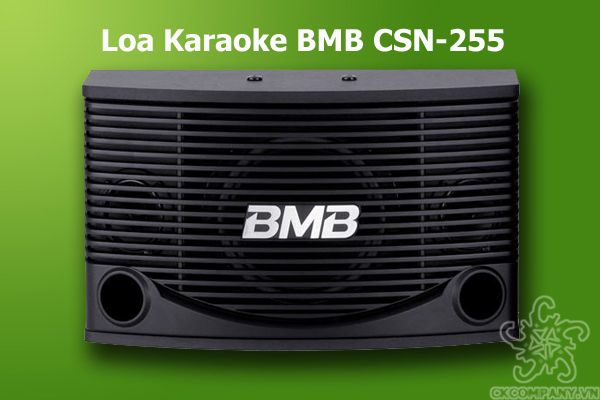 Loa Karaoke BMB CS 255